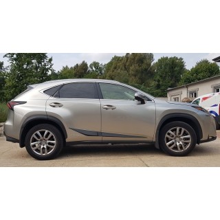 Baguette de porte-LEXUS-NX-2014-AUJOUR'HUI ABS NOIR