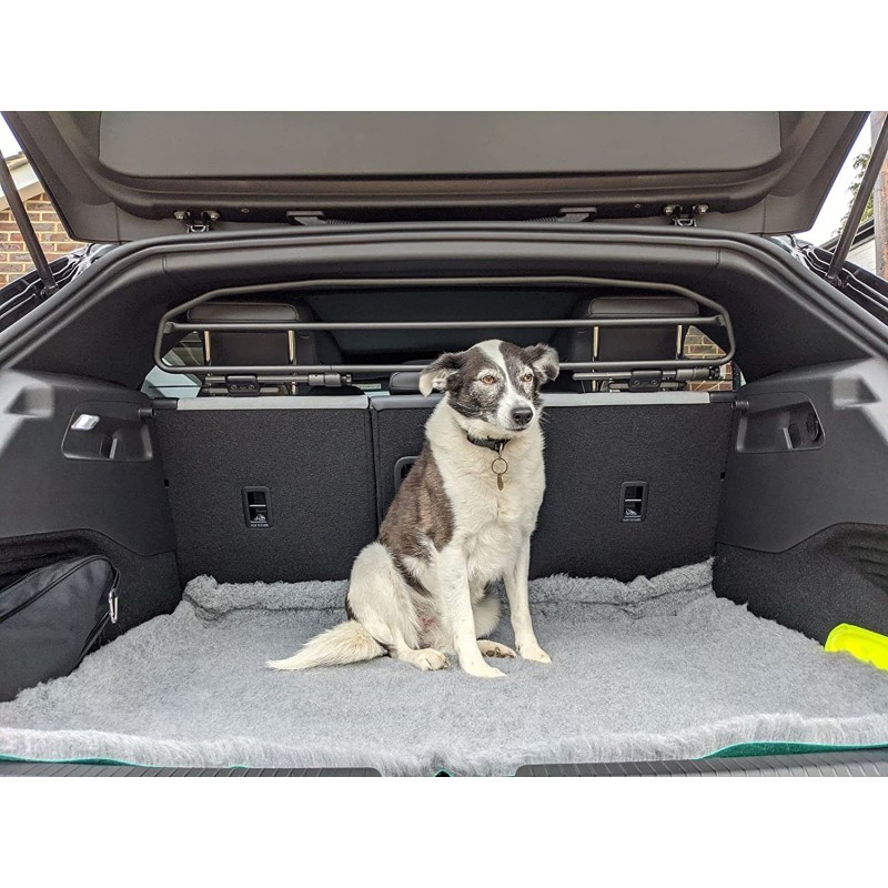 Grille de coffre de véhicule pour chien - achat de grille et cloison pour  véhicule chien et animaux