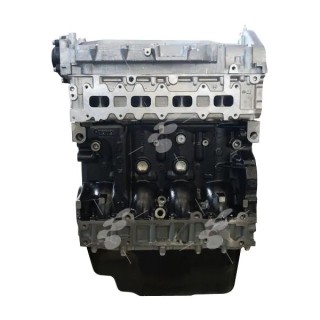 Moteur NEUF Nu Fiat Ducato 2.3 JTD F1AE0481C Iveco Daily 2.3 JTD F1AE0481C avec culasse et carter d'huile ref 504049266