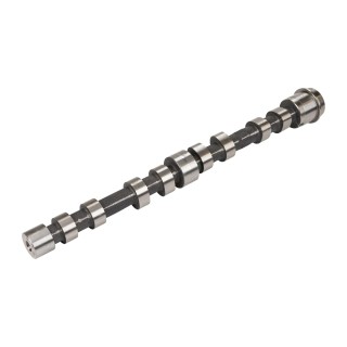 Arbre à cames Fiat Ducato à partir de l'année 2006 3.0 REF 504246093