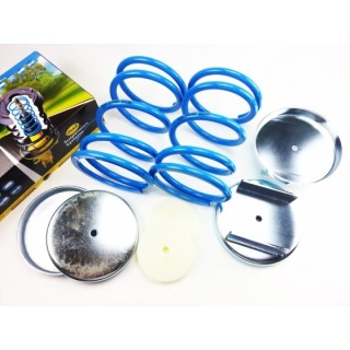 Ressort CITROEN BERLINGO 1996 2008 SET Ressorts Renforcés HD 2 pieces ARRIERE +25mm 150kgs+