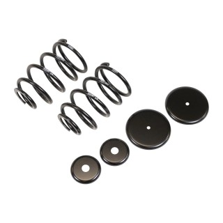 Ressorts hélicoïdaux FIAT DUCATO X230 240 Ressorts renforcés progressifs arrière GOLDSCHMITT  REF 001.EC202