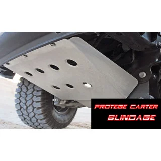 protege carter opel antara moteur bv